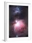 Orion Nebula-Chris Madeley-Framed Premium Photographic Print