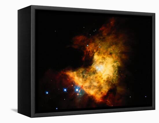 Orion Nebula-Terry Why-Framed Stretched Canvas