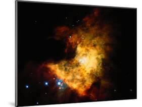 Orion Nebula-Terry Why-Mounted Photographic Print