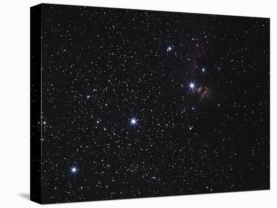 Orion's Belt, Horsehead Nebula And Flame Nebula-Stocktrek Images-Stretched Canvas