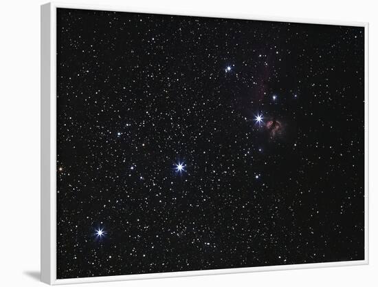 Orion's Belt, Horsehead Nebula And Flame Nebula-Stocktrek Images-Framed Photographic Print