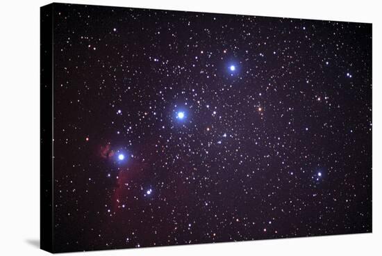 Orion's Belt-John Sanford-Stretched Canvas