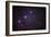 Orion's Belt-John Sanford-Framed Photographic Print