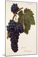 Oriou Gris Grape-A. Kreyder-Mounted Giclee Print