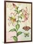 Oripet Lily Collage-Pamela Gladding-Framed Art Print