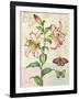 Oripet Lily Collage-Pamela Gladding-Framed Art Print