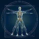 Skeleton In Vitruvian-Orla-Mounted Art Print