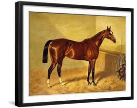 Orlando, a Bay Racehorse in a Loosebox, 1845-John Frederick Herring I-Framed Giclee Print