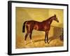 Orlando, a Bay Racehorse in a Loosebox, 1845-John Frederick Herring I-Framed Giclee Print