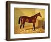 Orlando, a Bay Racehorse in a Loosebox, 1845-John Frederick Herring I-Framed Giclee Print