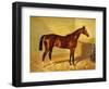 Orlando, a Bay Racehorse in a Loosebox, 1845-John Frederick Herring I-Framed Giclee Print