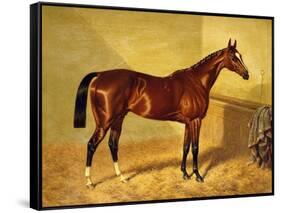 Orlando, a Bay Racehorse in a Loosebox, 1845-John Frederick Herring I-Framed Stretched Canvas