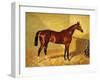 Orlando, a Bay Racehorse in a Loosebox, 1845-John Frederick Herring I-Framed Giclee Print