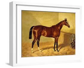 Orlando, a Bay Racehorse in a Loosebox, 1845-John Frederick Herring I-Framed Giclee Print