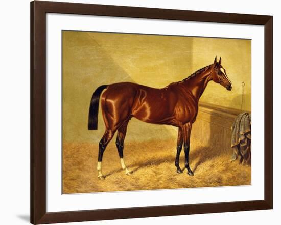 Orlando, a Bay Racehorse in a Loosebox, 1845-John Frederick Herring I-Framed Giclee Print