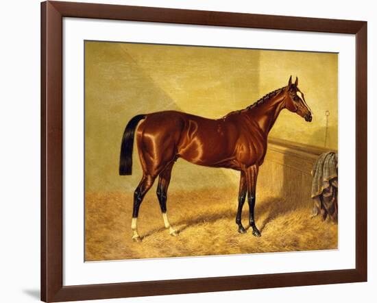Orlando, a Bay Racehorse in a Loosebox, 1845-John Frederick Herring I-Framed Giclee Print