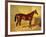 Orlando, a Bay Racehorse in a Loosebox, 1845-John Frederick Herring I-Framed Giclee Print