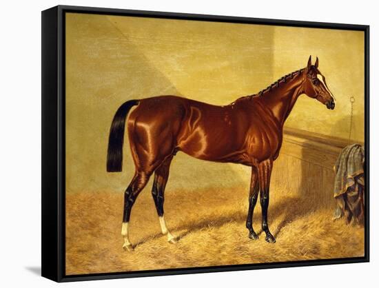 Orlando, a Bay Racehorse in a Loosebox, 1845-John Frederick Herring I-Framed Stretched Canvas