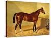 Orlando, a Bay Racehorse in a Loosebox, 1845-John Frederick Herring I-Stretched Canvas