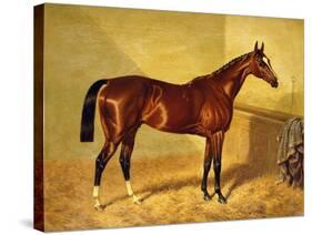 Orlando, a Bay Racehorse in a Loosebox, 1845-John Frederick Herring I-Stretched Canvas