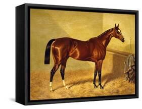 Orlando, a Bay Racehorse in a Loosebox, 1845-John Frederick Herring I-Framed Stretched Canvas