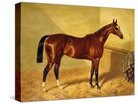 Orlando, a Bay Racehorse in a Loosebox, 1845-John Frederick Herring I-Stretched Canvas