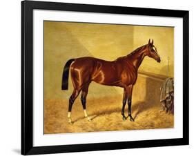 Orlando, a Bay Racehorse in a Loosebox-John Frederick Herring I-Framed Giclee Print