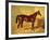 Orlando, a Bay Racehorse in a Loosebox-John Frederick Herring I-Framed Giclee Print