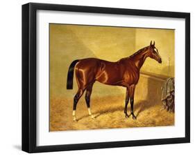 Orlando, a Bay Racehorse in a Loosebox-John Frederick Herring I-Framed Giclee Print