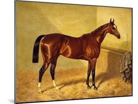 Orlando, a Bay Racehorse in a Loosebox-John Frederick Herring I-Mounted Giclee Print