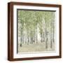Brown Frame