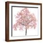Brown Frame