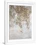 Gramercy White