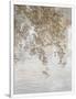 Gramercy White