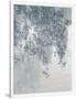 Gramercy White