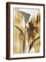Brown Frame