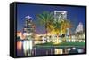 Orlando Downtown Skyline Panorama over Lake Eola at Night with Urban Skyscrapers, Tropic Palm Tree-Songquan Deng-Framed Stretched Canvas