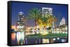 Orlando Downtown Skyline Panorama over Lake Eola at Night with Urban Skyscrapers, Tropic Palm Tree-Songquan Deng-Framed Stretched Canvas