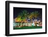 Orlando Downtown Skyline Panorama over Lake Eola at Night with Urban Skyscrapers, Tropic Palm Tree-Songquan Deng-Framed Photographic Print