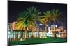 Orlando Downtown Skyline Panorama over Lake Eola at Night with Urban Skyscrapers, Tropic Palm Tree-Songquan Deng-Mounted Photographic Print