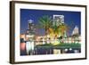 Orlando Downtown Skyline Panorama over Lake Eola at Night with Urban Skyscrapers, Tropic Palm Tree-Songquan Deng-Framed Photographic Print