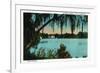 Orlando, Florida - Lake Copeland Scene-Lantern Press-Framed Premium Giclee Print