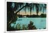 Orlando, Florida - Lake Copeland Scene-Lantern Press-Mounted Premium Giclee Print