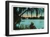 Orlando, Florida - Lake Copeland Scene-Lantern Press-Framed Art Print