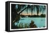 Orlando, Florida - Lake Copeland Scene-Lantern Press-Framed Stretched Canvas
