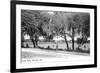 Orlando, Florida - Lake Eola View-Lantern Press-Framed Art Print