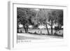 Orlando, Florida - Lake Eola View-Lantern Press-Framed Art Print