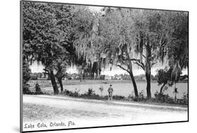 Orlando, Florida - Lake Eola View-Lantern Press-Mounted Art Print