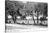 Orlando, Florida - Lake Eola View-Lantern Press-Stretched Canvas