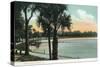 Orlando, Florida - Scenic View of Lake Lucerne-Lantern Press-Stretched Canvas